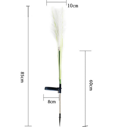 Lámparas Solares de Hierba Pampa: Iluminación Sostenible y Elegante 🌿