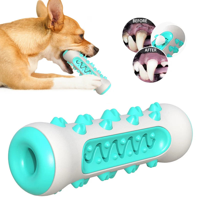 Juguete Molar Toothbrush para Perros de RPXBGUCKARHG: Limpieza Dental Segura 🐾