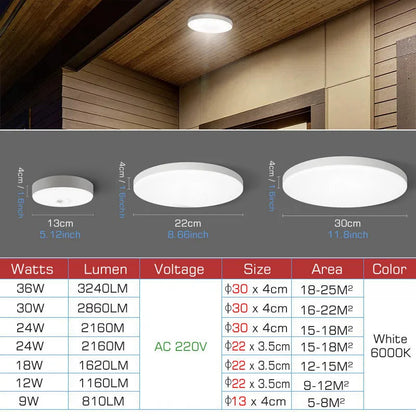 Lámpara de Techo LED con Sensor de Movimiento Radar de RORACAS