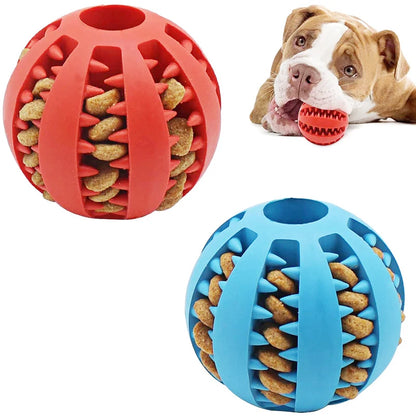 Juguetes de Pelota Interactivos para Perros Pequeños - Diversión y Limpieza Dental