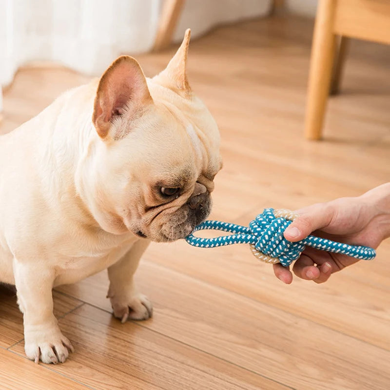 Juguete Interactivo de Cuerda de Algodón Mini para Perros ¡Beneficios Dentales y Diversión! 🐶