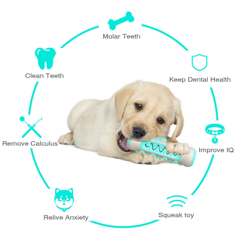 Juguete Molar Toothbrush para Perros de RPXBGUCKARHG: Limpieza Dental Segura 🐾