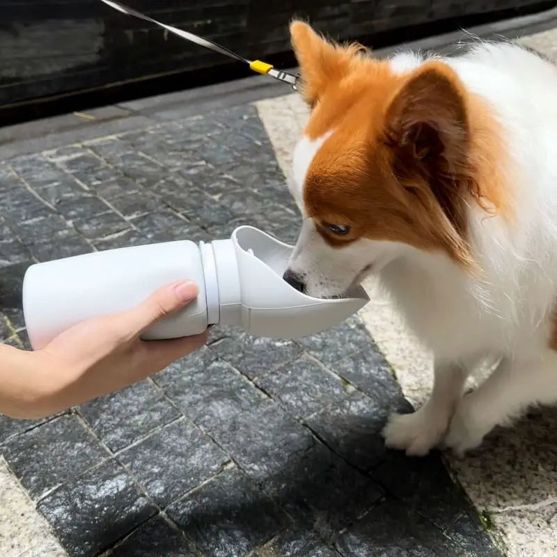 Taza de Agua Plegable para Mascotas ELESAHOME - 550ml 🐶🌿