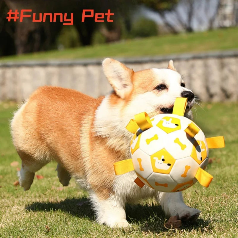 Pelota de Juego al Aire Libre para Perros 🐶