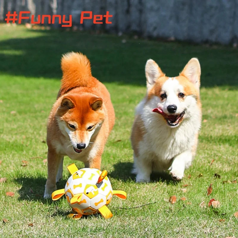 Pelota de Juego al Aire Libre para Perros 🐶