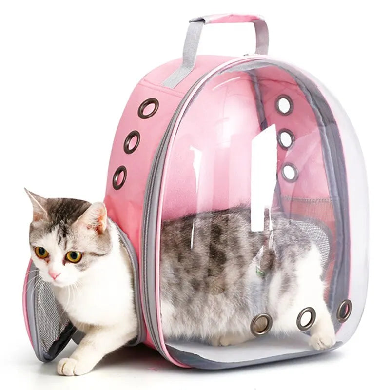 Mochila Burbuja de Lujo para Gatos: Estilo y Seguridad en cada Aventura 🐱🎒